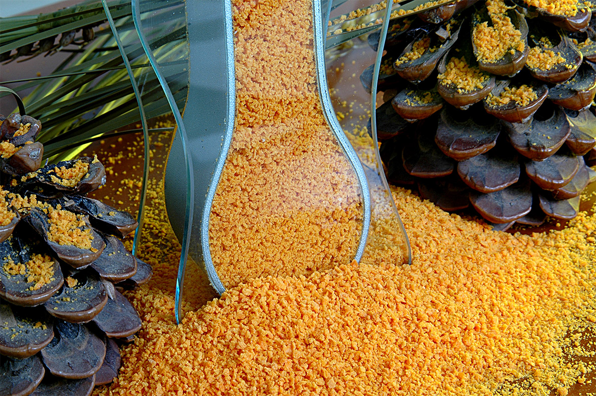 Breadcrumbs_Darmstadt-7d80ae23bb002a6ee1772451f77c6aa0