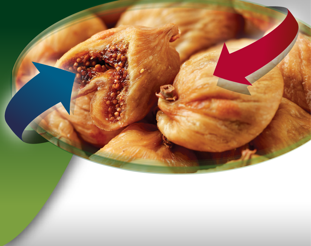 Sardem_web_urunler-15