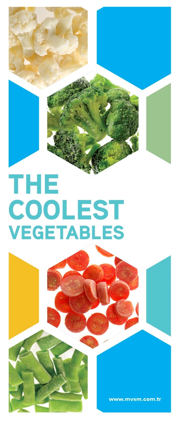 WhatsApp-Image-2024-05-28-at-11.34.08_3d3fb782-ee86f964e5c0f2ec7378bfafea777521