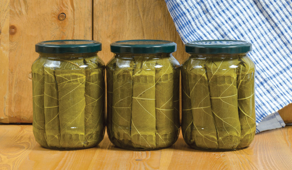 salamura-yaprak-baloglu-gida-1200x700px