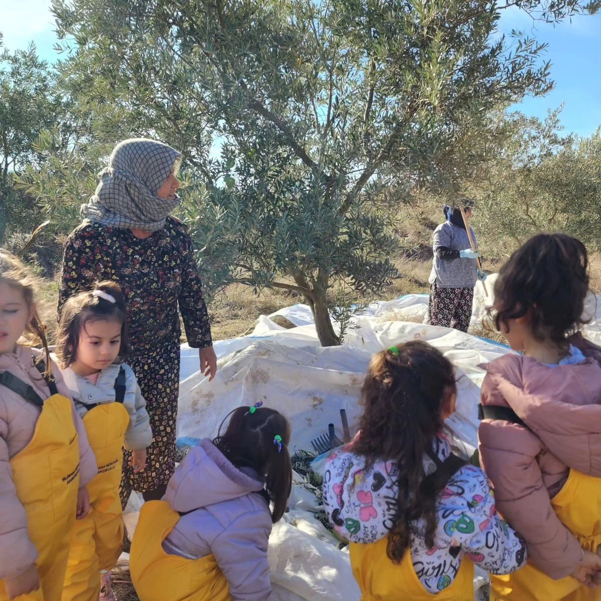 404056030_1317395458963425_9044490249987863374_n