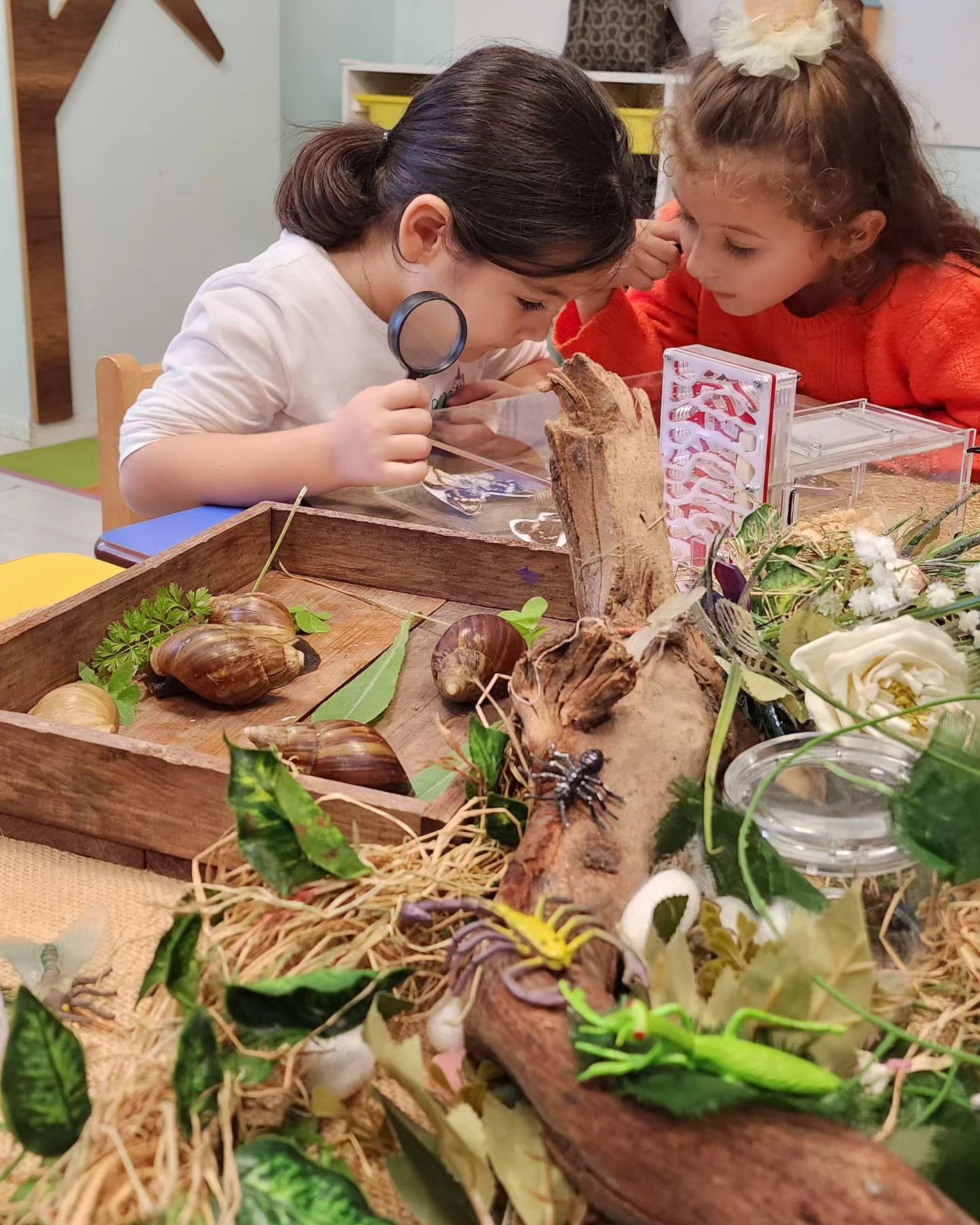 405204356_367564402355409_4905733560325352465_n