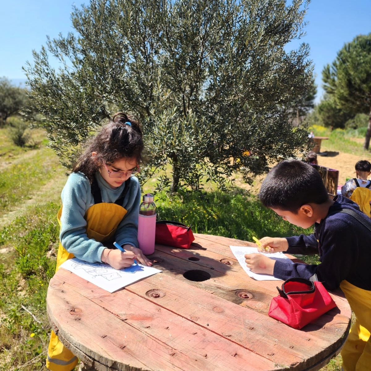 434137711_1374339479943402_6142947830623526327_n