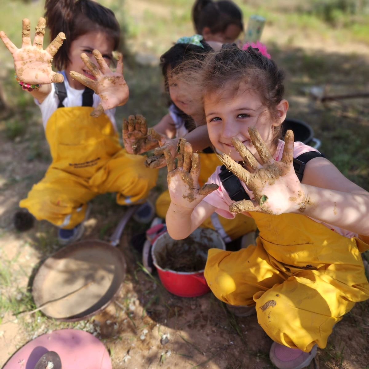 439014240_773735551394335_1290814849981384844_n