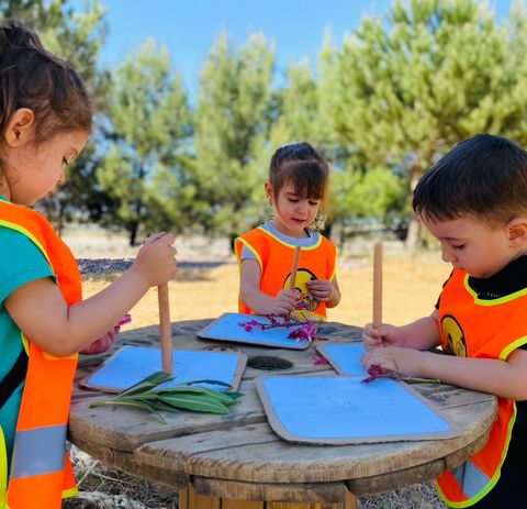 440719890_421967267118884_7991541382990207296_n