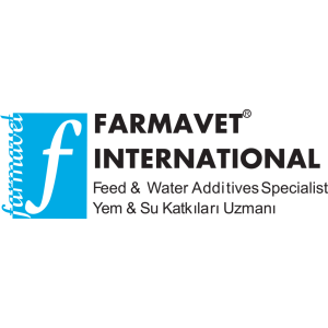 VEKTOREL-b999d6342bf3eb426f3170ec3203efd4